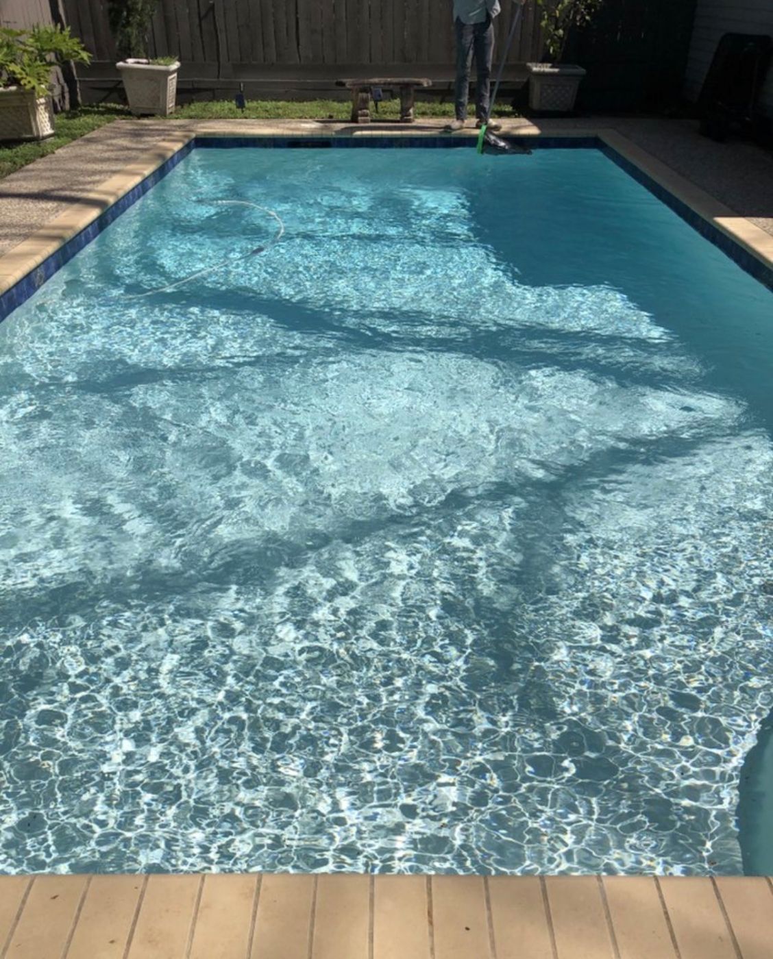 A sparkling clean backyard pool